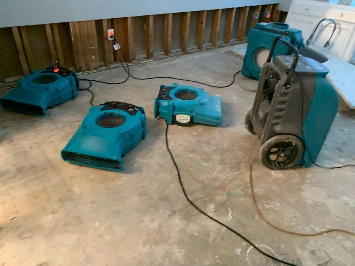 Water Damage Restoration services in Hawaiian Paradise Park, HI